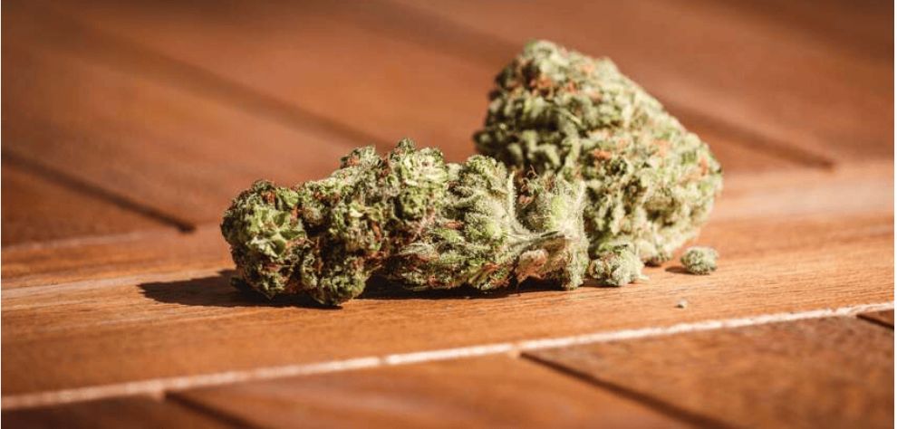 MMJ Express is your trusted place for online pot in Canada, and here's why! We offer laboratory-tested, guaranteed, safe, and effective weed for the most competitive price on the market.