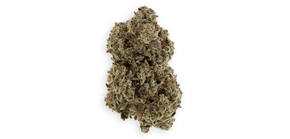 Purchase from MMJ Express, an online weed dispensary with the highest-quality cannabis, ranging from dry herbs like Donkey Butter to pure concentrates, edibles, and more! All weed products are safe and abundant in terpenes. 