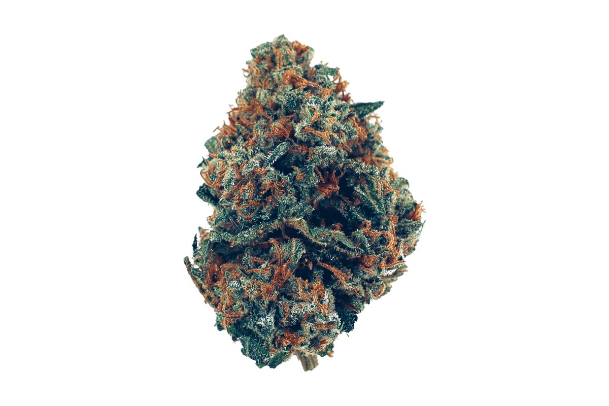 What is Purple Candy strain & how does it make you feel? Learn everything about this bud, from its aroma to its euphoric effects in this review.