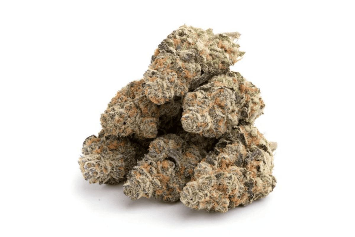 The Shishkaberry strain not only has a unique name but also delivers an extraordinary hit. Here's everything you need to know about this strain. 