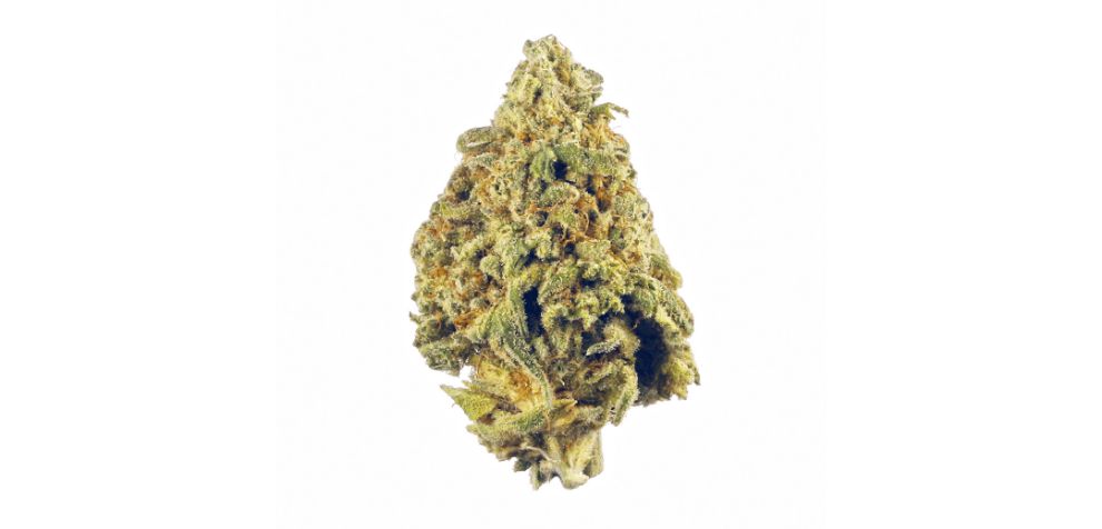 Prioritize shopping from a reputable online weed dispensary. Why? Because when you buy weed online like Donkey Butter, you want to taste lab-tested, safe, and effective cannabis. Forget about the low-quality, cheap strains!