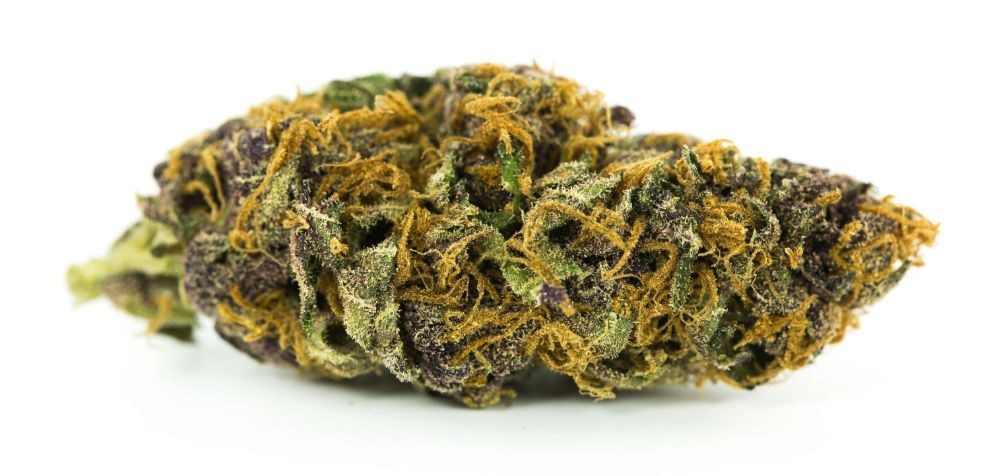 Considering the unique combination of aromas and flavour, you can easily tell that the Purple Space Cookies strain has a rich terpene profile. 