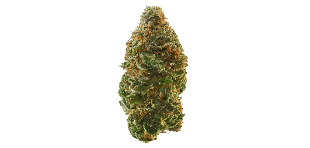 Train Wreck is a Sativa-dominant strain known for delivering  stimulating effects that leave users in a better state of mind and body. It's 65% sativa and 35% Indica. 