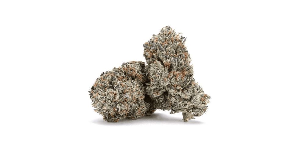 The Purple Candy strain is an indica-dominant hybrid that has quickly become one of the most beloved strains in Canada