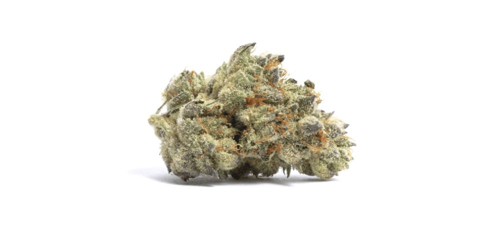 Is Shishkaberry strain Indica or Sativa? Shishkaberry is an Indica-dominant strain with approximately 80% Indica and 20% Sativa. 
