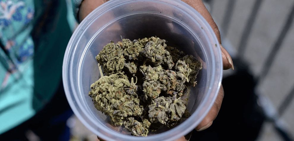 Here are some of the reasons to order weed online for quick home delivery: