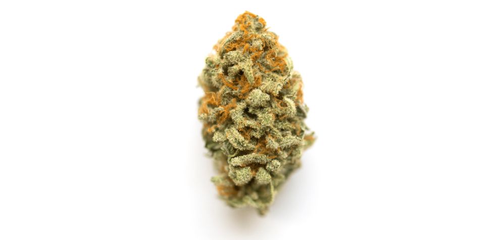 The Meat Breath weed strain is an evenly balanced hybrid with a 50/50 indica-to-sativa ratio. So, the answer to "Is the Meat Breath strain Indica or Sativa?" is clear. It's both!