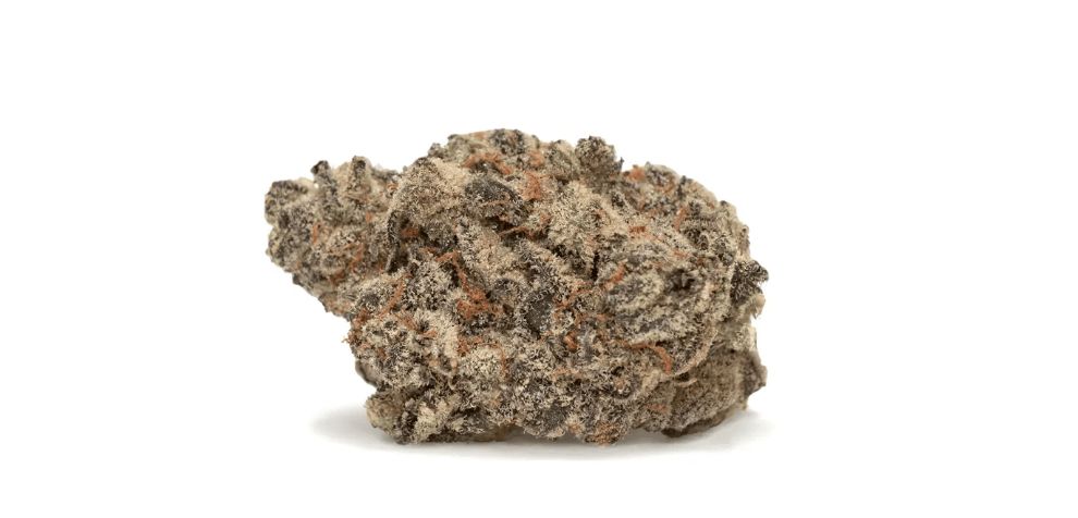 Mendo Breath has a visually striking appearance that features a blend of dense forest green hues and vibrant purple accents. 