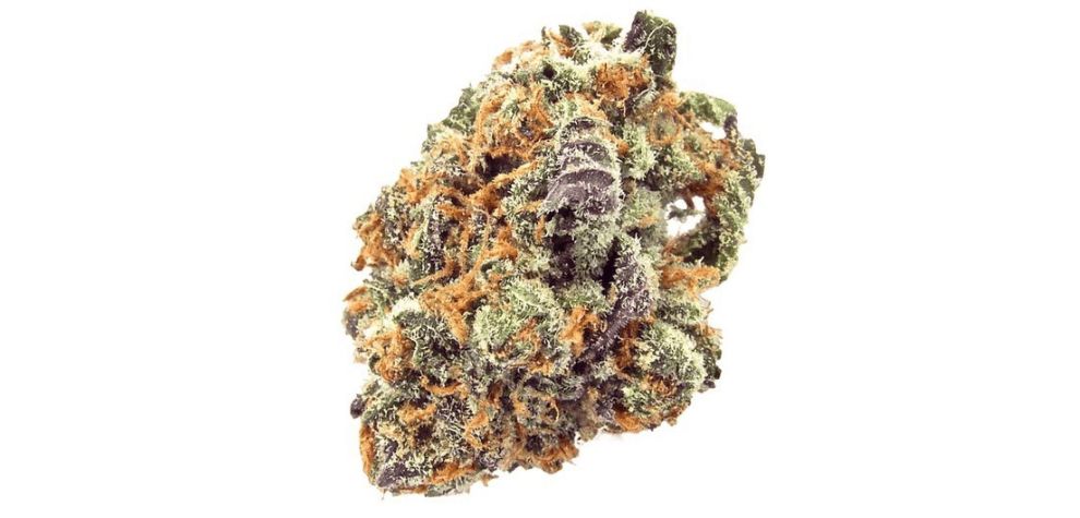 According to a Sugar Cookies strain review, this hybrid comes from the "marriage" of Jet Fuel Gelato and Cake Crasher. 