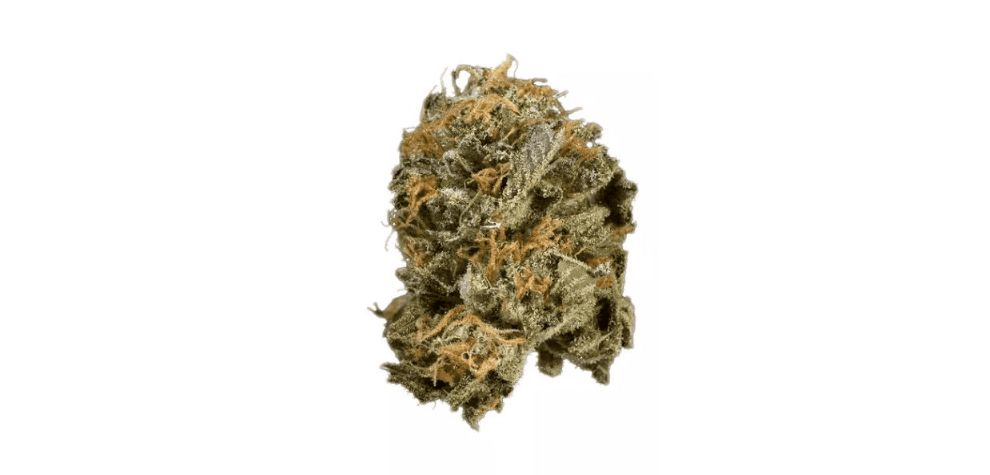 Due to its high potency levels, the Romulan strain may cause some adverse reactions. At times, it can make you feel slightly parched, with dry eyes and a cottonmouth. 