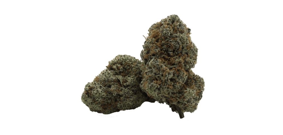 When buying cannabis from an online weed dispensary, the appearance of the bud is one of the most important things to consider.