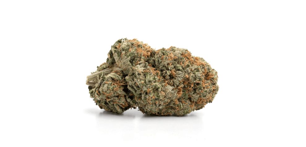 Now that you have all the Lemon Skunk strain info, the only thing left is to find the perfect online weed dispensary to order this bud from.