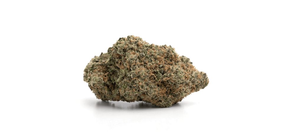 Looking to experience the effects described above and enjoy the benefits? Buy Romulan weed today at MMJExpress. 