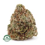 Buy Cannabis Alaskan Thunder Fuck (ATF) AAA at MMJ Express Online Shop