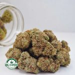 Buy Cannabis Alaskan Thunder Fuck (ATF) AAA at MMJ Express Online Shop
