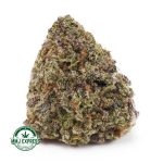 Buy Cannabis Sunset Sherbet AAA at MMJ Express Online Shop