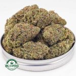 Buy Cannabis Sunset Sherbet AAA at MMJ Express Online Shop