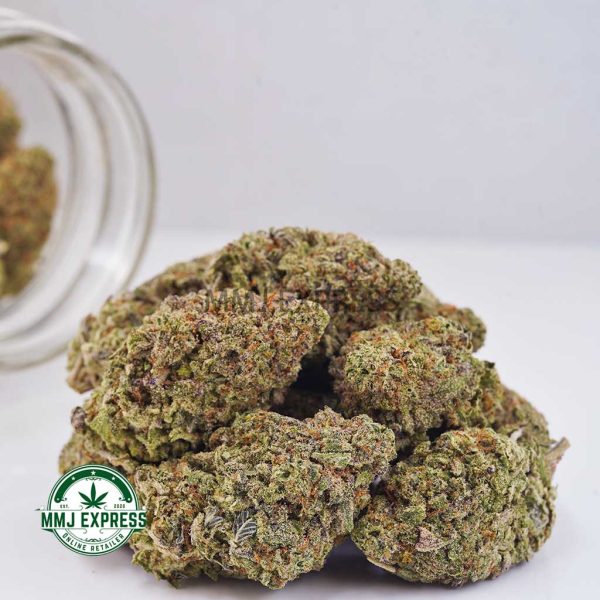 Buy Cannabis Sunset Sherbet AAA at MMJ Express Online Shop
