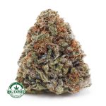 Buy Cannabis Mimosa AAA at MMJ Express Online Shop