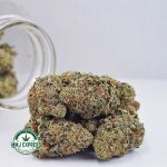 Buy Cannabis Mimosa AAA at MMJ Express Online Shop