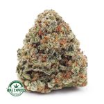 Buy Cannabis Forum Cut Cookies AAA at MMJ Express Online Shop