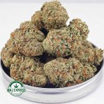 Buy Cannabis Forum Cut Cookies AAA at MMJ Express Online Shop