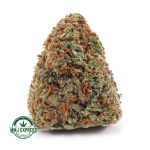 Buy Cannabis Strawberry Cream Cookies A AA at MMJ Express Online Shop