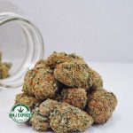 Buy Cannabis Strawberry Cream Cookies A AA at MMJ Express Online Shop