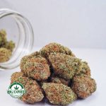 Buy Cannabis Astroboy AAA at MMJ Express Online Shop