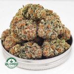 Buy Cannabis Dosi Cake AAA at MMJ Express Online Shop