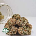 Buy Cannabis Dosi Cake AAA at MMJ Express Online Shop