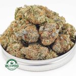 Buy Cannabis Chemdawg AAA at MMJ Express Online Shop