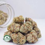 Buy Cannabis GMO Cookies AAA at MMJ Express Online Shop