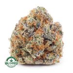 Buy Cannabis King's Kush AAAA at MMJ Express Online Shop