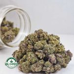 Buy Cannabis Platinum Pink AAAA (Popcorn Nugs) at MMJ Express Online Shop