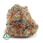 Buy Cannabis Cookies Kush AAA at MMJ Express Online Shop