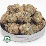 Buy Cannabis Cotton Candy Kush AAA at MMJ Express Online Shop