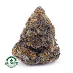 Buy Cannabis Sherbet AAA at MMJ Express Online Shop