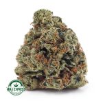 Buy Cannabis Tangie Sunrise AAA at MMJ Express Online Shop