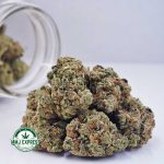 Buy Cannabis Tangie Sunrise AAA at MMJ Express Online Shop