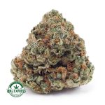 Buy Concentrates Cannabis Corleone Kush AAA at MMJ Express Online Shop