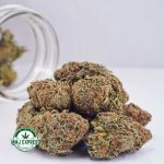 Buy Cannabis Hawaiian Snow AA at MMJ Express Online Shop