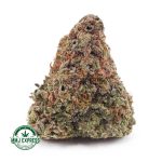 Buy Cannabis Blue Dream AA at MMJ Express Online Shop