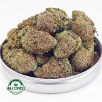 Buy Cannabis Blue Dream AA at MMJ Express Online Shop