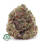 Buy Cannabis Slurricane AA at MMJ Express Online Shop