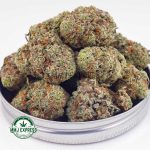 Buy Cannabis Slurricane AA at MMJ Express Online Shop