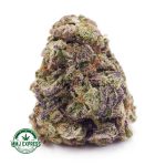 Buy Cannabis Strawberry Pie AA MMJ Express Online Shop