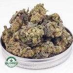 Buy Cannabis Strawberry Pie AA MMJ Express Online Shop