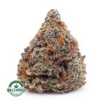 Buy Cannabis Ice Wreck AA MMJ Express Online Shop