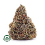 Buy Cannabis Chemo Kush AA MMJ Express Online Shop